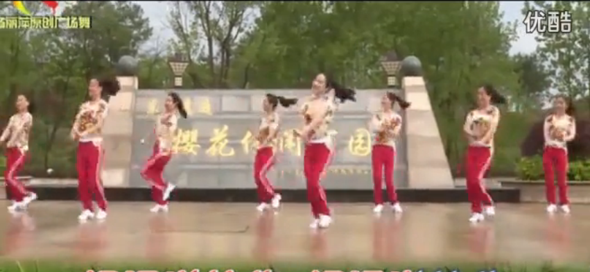 杨丽萍广场舞《好运送给你》 正背面教学视频