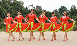 《想西藏》 益馨广场舞 团队演示正背面视频教学 编舞艳艳