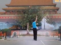 广场舞中国吉祥 蓝天广场舞 正反面演示动作教学 