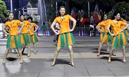 《去吧爱情》燕子广场舞 正背面教学视频舞曲