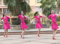 柔柔的眼波柔柔的你含教学 演唱：星月组合 杨丽萍广场舞教学视频