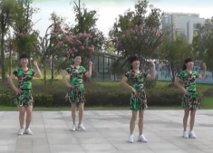 雷龙《啪啪啪》歌词 中老年广场舞教学视频免费