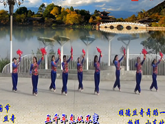 顺德丝奇广场舞 中国节舞蹈视频 分解动作教学