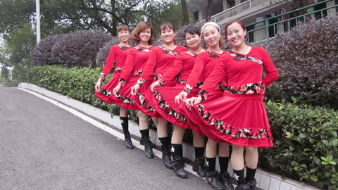 湘湘广场舞 临洮姑娘花一样舞蹈视频 分解动作教学