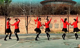 蝶依广场舞 欢天喜地唱大年舞蹈视频 原创双人对跳分解教学