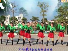 澄海春风广场舞 潇洒的走舞蹈视频 原创分解教学团队版