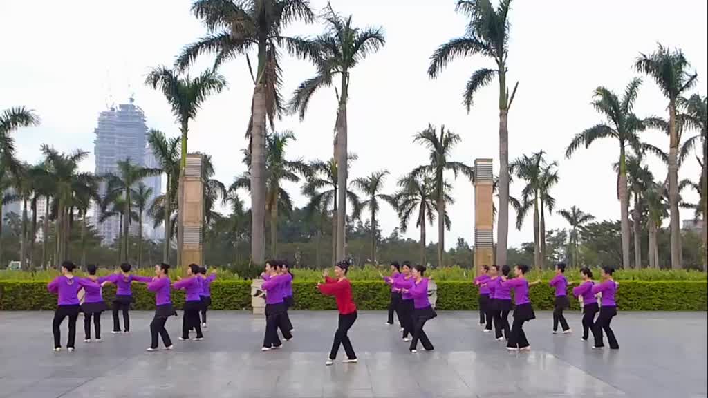 李琦广场舞 愿做菩萨那朵莲舞蹈视频 分解动作教学
