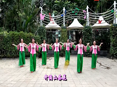 深圳山茶广场舞 山茶花舞蹈视频 分解动作教学