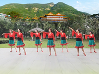 山水贵客广场舞 杭州荷风广场舞 广场舞16步团队演示编舞：张春丽