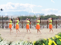 在水伊方广场舞 山楂树广场舞 团队演示编舞：无边 瓦瓦