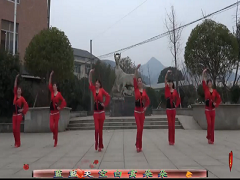 黄材国兵广场舞 美的不要不要的舞蹈视频 分解动作教学