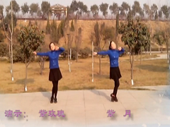 紫月广场舞 今年最特别舞蹈视频 正面演示编舞:格格