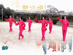 谢春燕广场舞《2017过年的味道》教学视频