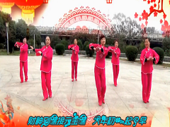 谢春燕广场舞 过年好舞蹈视频 分解动作教学喜庆新年舞