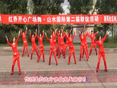 小心肝广场舞 重庆冰彩广场舞 14人变队形正面演示