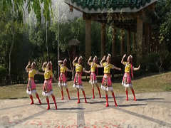 最美的歌儿唱给妈妈广场舞 深圳山茶广场舞 分解教学藏族舞