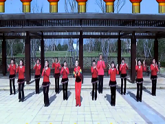 万年青广场舞 幸福来舞蹈视频 团队版演示及分解动作教学