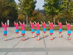 学跳応子西藏情歌广场舞 凤凰姐妹广场舞 团队演示