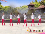 新月舞蝶广场舞《不爱不痛快》教学视频