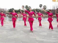温州燕子广场舞朝圣西藏 原创团队演示附分解