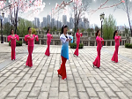 谢春燕广场舞《一剪梅》教学视频
