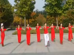 北京的桥广场舞 凤凰姐妹广场舞 团队演示