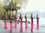 张春丽广场舞《花好月圆》教学视频
