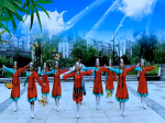 吉祥藏历年广场舞 巧儿广场舞 团队正面演示藏族舞