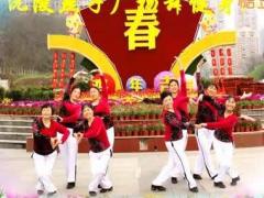 沅陵燕子广场舞中国中国 原创步子舞附教学