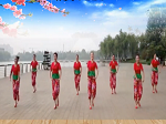 廊坊星月广场舞《幸福跳起来》视频