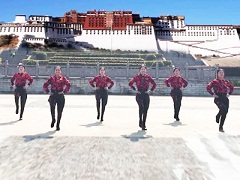 西藏情歌广场舞 合肥果果广场舞 原创团队正反面附教学