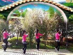 学跳杨丽萍十八年广场舞 月牙儿广场舞 团队演示
