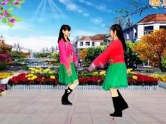 妹妹好心酸广场舞 南之新女女广场舞 原创40步双人对跳演示