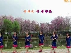 普雅花广场舞 柳州彩虹广场舞 团队正面编舞：雨夜
