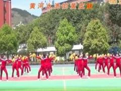 中国范儿广场舞 艺静心缘广场舞 原创团队演示附分解教学