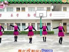 学跳杨丽萍梓花儿广场舞 白衣天使广场舞 团队正反面演示