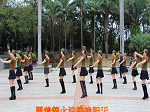 凤凰香香广场舞《三月三》教学视频
