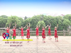 泊岸广场舞 江财飞悦广场舞 团队正面演示编舞:応子