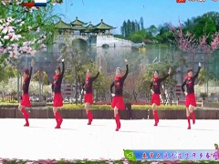 新月舞碟广场舞《梦千年》教学视频