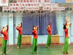 小调情歌广场舞 龙城依诺广场舞 团队正反面演示编舞:刘荣