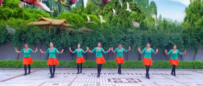 乌兰山下一朵花广场舞 河南龙城广场舞 原创编舞正反面演示