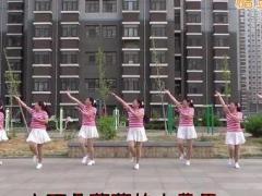 红红线广场舞 梅英广场舞 水兵舞教学视频