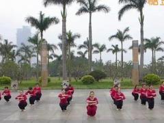 醒来广场舞 厦门舞之缘广场舞 团队演示附分解教学