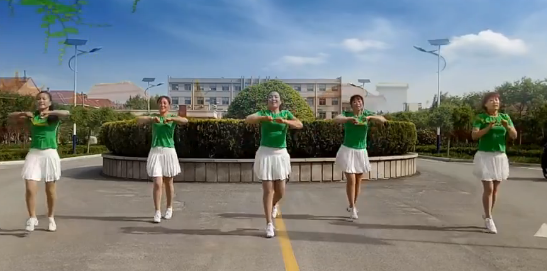 山东紫怡然广场舞《摇起来嗨起来》教学视频
