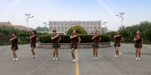 山东紫怡然广场舞《我要去西藏》教学视频