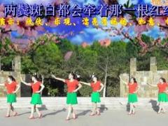春天是个好季节广场舞 红梅广场舞 团队演示附教学编舞:茉莉