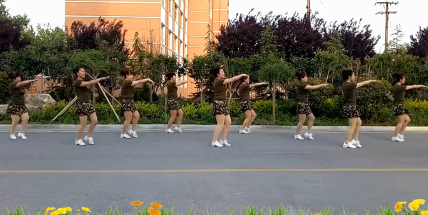 山东紫怡然广场舞《红马鞍》视频
