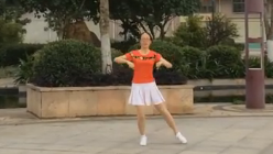 连平自由飞舞健身队《草原情歌DJ》教学视频