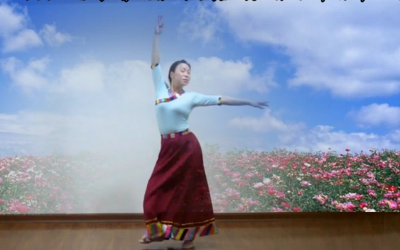 梅里爱的见证广场舞 舞之梅广场舞 原创藏族舞附分解