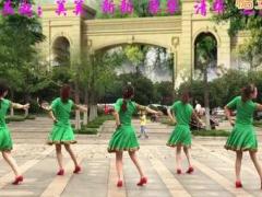 新疆我爱你广场舞 长兴轻纺城广场舞 团队正面演示